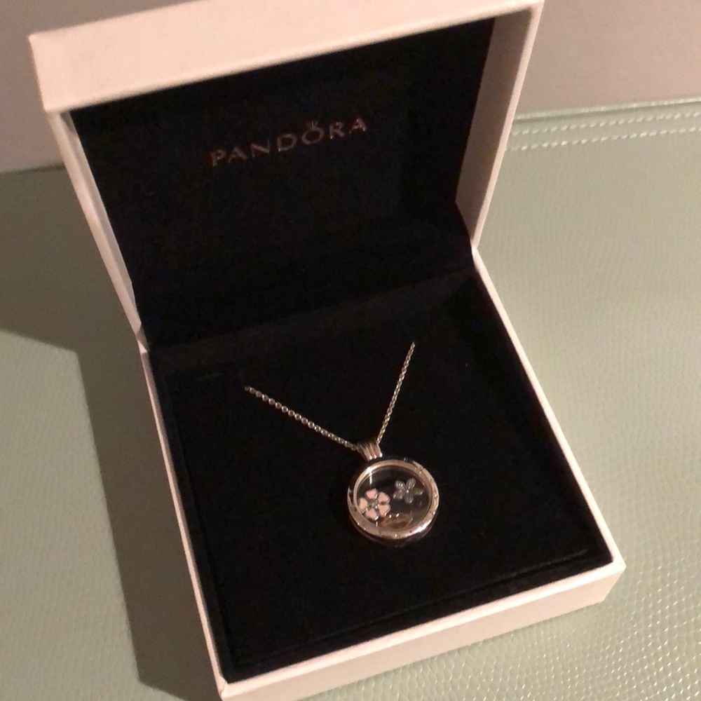 Pandora necklace
